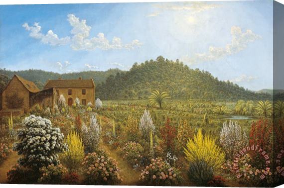 John Glover A View of The Artist's House And Garden, in Mills Plains, Van Diemen's Land Stretched Canvas Print / Canvas Art