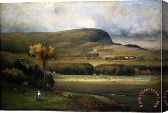 John James Audubon New England Valley 1878 Stretched Canvas Print / Canvas Art