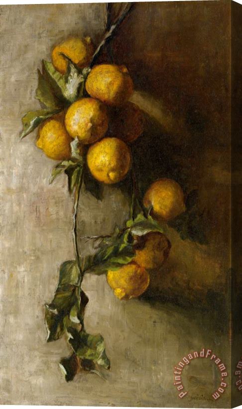 John LaFarge Branch of Oranges Stretched Canvas Print / Canvas Art