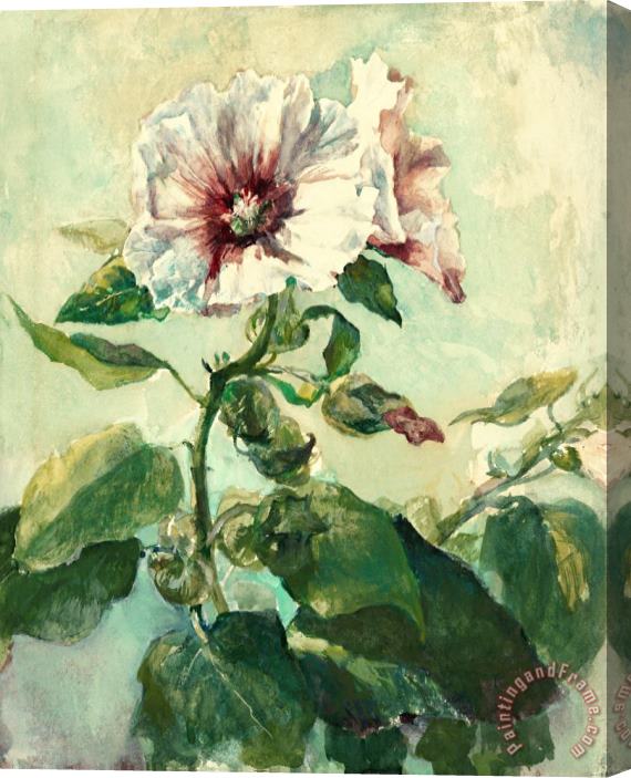 John LaFarge Study of Pink Hollyhocks in Sunlight, From Nature Stretched Canvas Print / Canvas Art