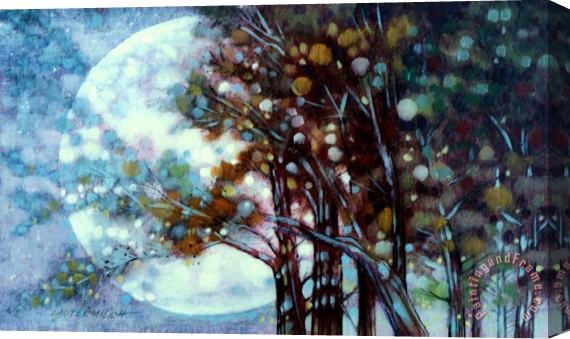 John Lautermilch California Cypress Stretched Canvas Print / Canvas Art
