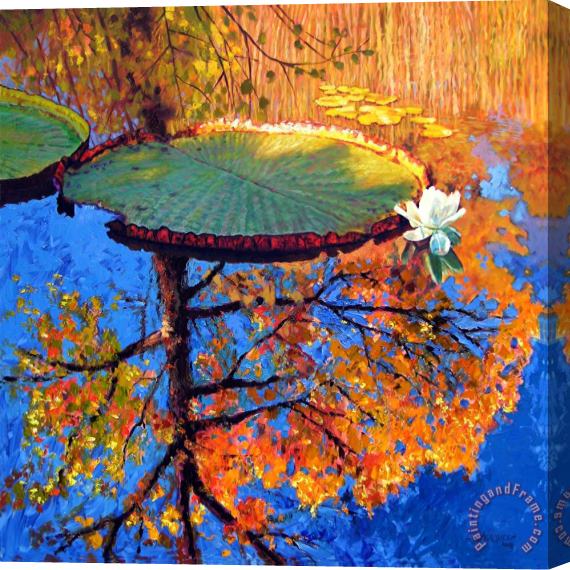 John Lautermilch Colors of Fall on the Lily Pond Stretched Canvas Painting / Canvas Art