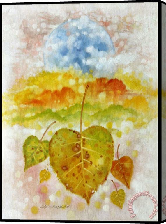 John Lautermilch Fall Cycle Stretched Canvas Print / Canvas Art