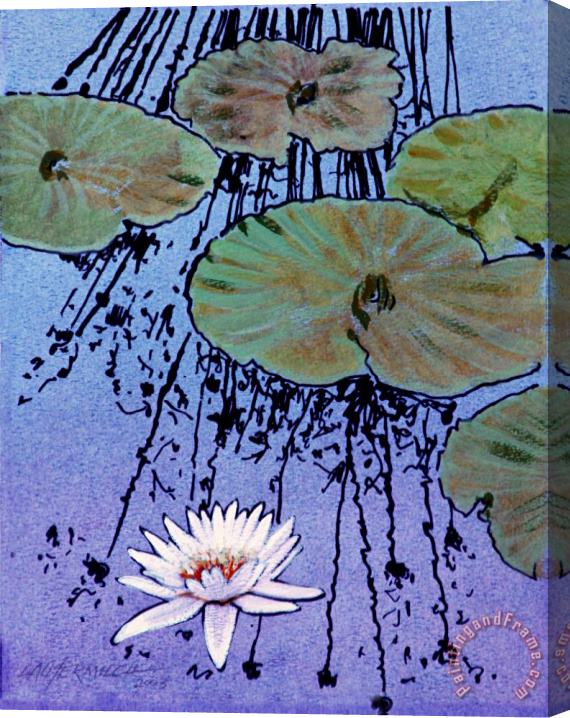 John Lautermilch Floating White Lily Stretched Canvas Painting / Canvas Art