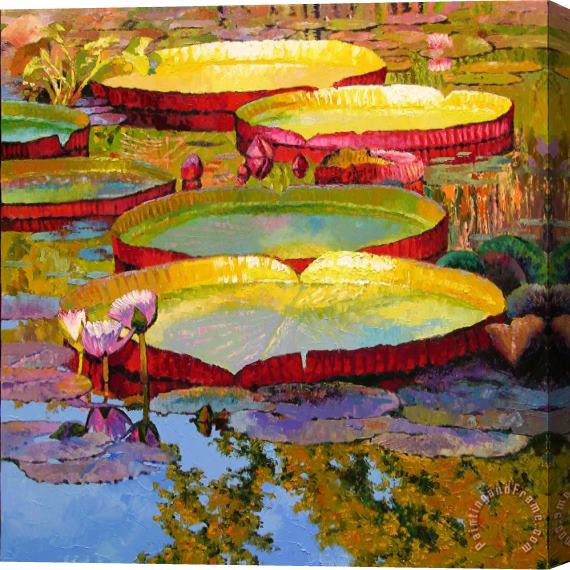John Lautermilch Golden Light on Pond Stretched Canvas Print / Canvas Art