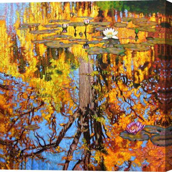 John Lautermilch Golden Reflections on Lily Pond Stretched Canvas Painting / Canvas Art