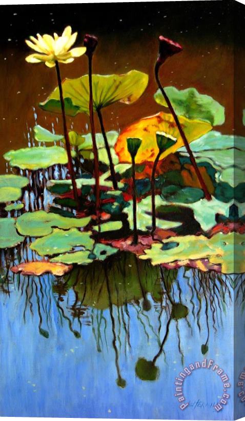 John Lautermilch Lotus In July Stretched Canvas Painting / Canvas Art