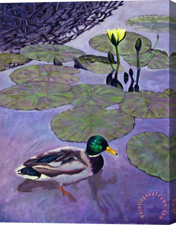 John Lautermilch Mallard Duck in Lily Pond Stretched Canvas Painting / Canvas Art