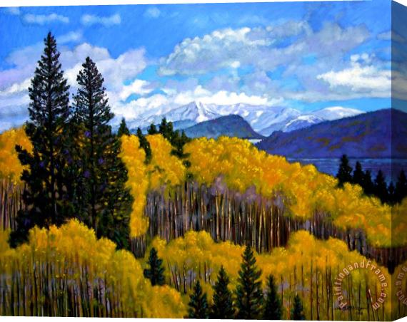 John Lautermilch Natures Patterns - Rocky Mountains Stretched Canvas Print / Canvas Art