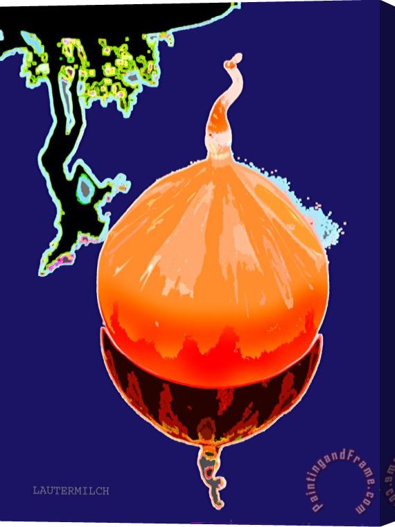 John Lautermilch Orange Globe Stretched Canvas Print / Canvas Art