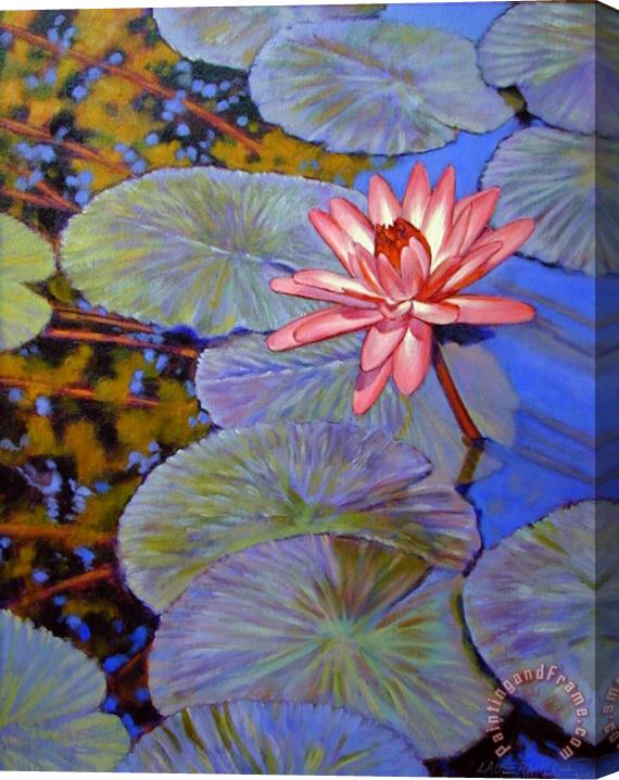John Lautermilch Pink Lily with Silver Pads Stretched Canvas Print / Canvas Art