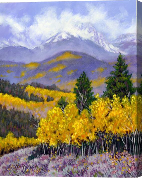 John Lautermilch Snowing in the Mountains Stretched Canvas Painting / Canvas Art