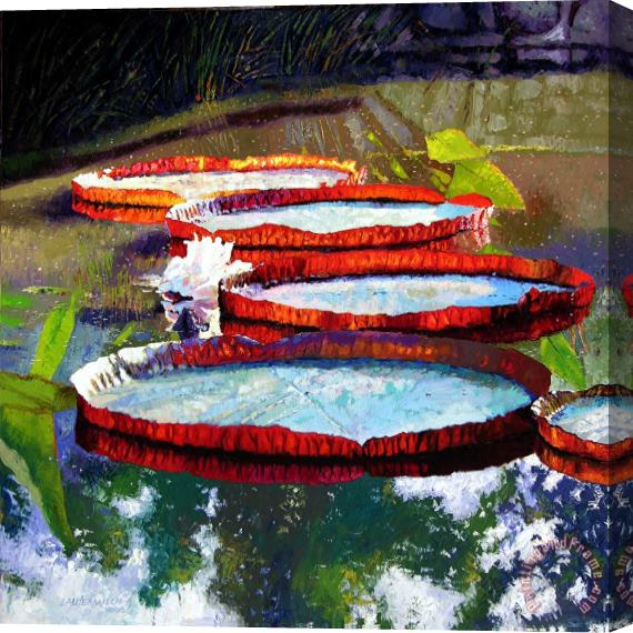 John Lautermilch Summer Sunlight on Lily Pads Stretched Canvas Painting / Canvas Art