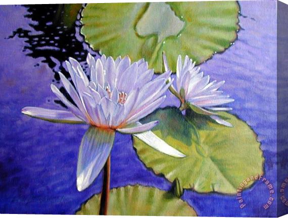 John Lautermilch Sunlit Petals Stretched Canvas Print / Canvas Art