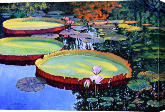 John Lautermilch Sunspots on Lily Pond Stretched Canvas Painting / Canvas Art