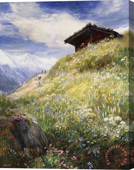 John MacWhirter An Alpine Meadow Switzerland Stretched Canvas Print / Canvas Art