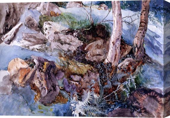 John Ruskin Study of The Rocks And Ferns, Crossmouth Stretched Canvas Painting / Canvas Art