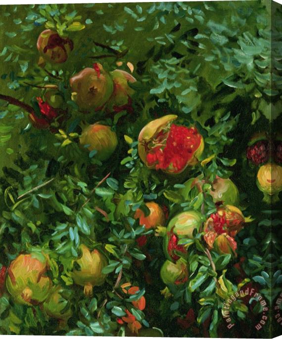 John Singer Sargent Pomegranates Majorca Stretched Canvas Print / Canvas Art