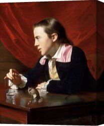 Copley Canvas Prints - A Boy with a Flying Squirrel (henry Pelham) by John Singleton Copley