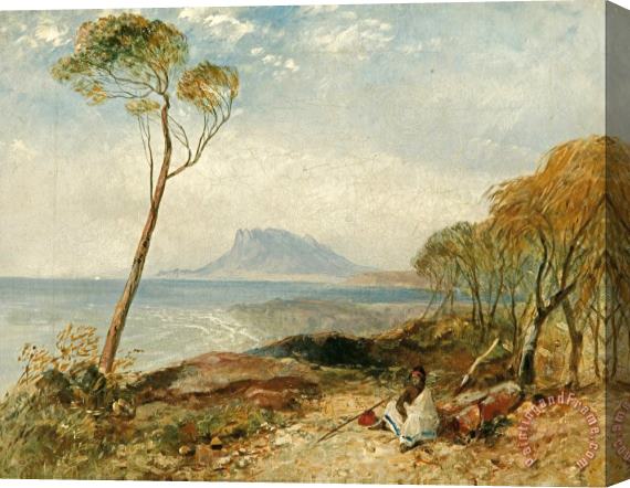 John Skinner Prout Maria Island From Little Swanport, Van Diemen's Land Stretched Canvas Painting / Canvas Art