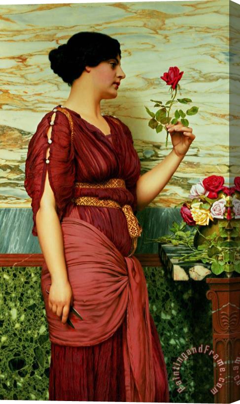 John William Godward A Red Rose Stretched Canvas Painting / Canvas Art