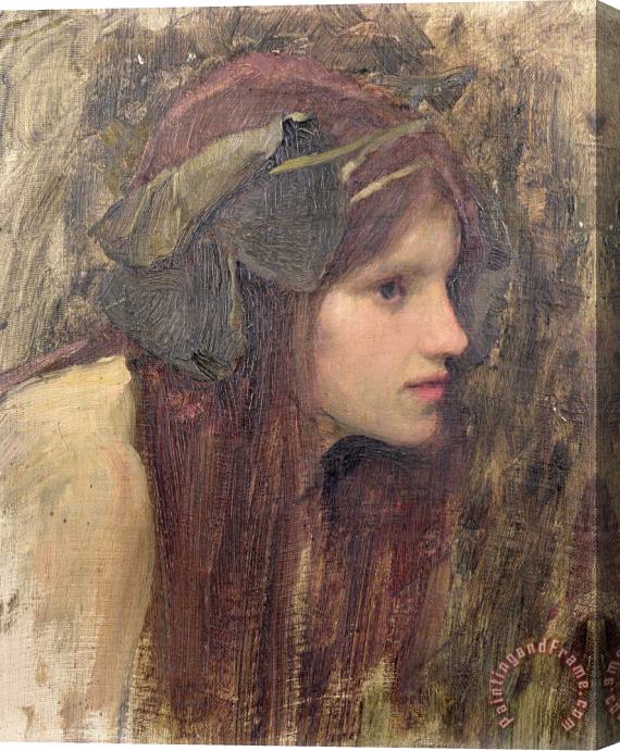 John William Waterhouse A Study for a Naiad Stretched Canvas Print / Canvas Art