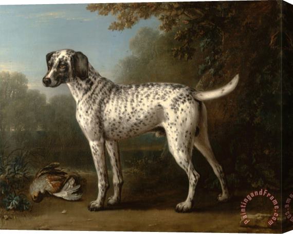John Wootton A Grey Spotted Hound Stretched Canvas Print / Canvas Art
