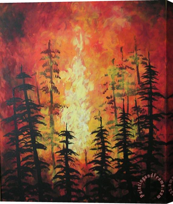 Jordanka Yaretz Kelowna Wild Fires Stretched Canvas Painting / Canvas Art