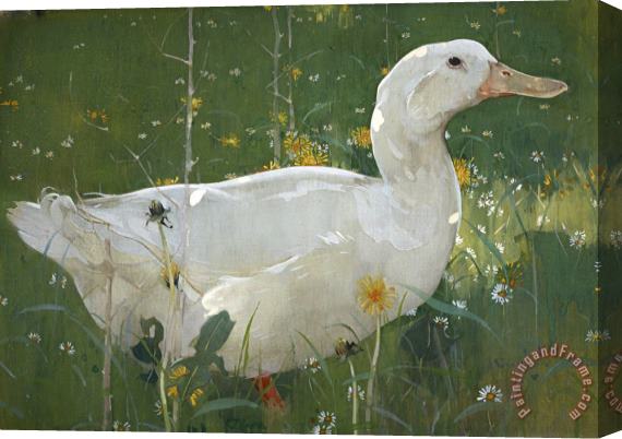 Joseph Crawhall The White Drake Stretched Canvas Painting / Canvas Art