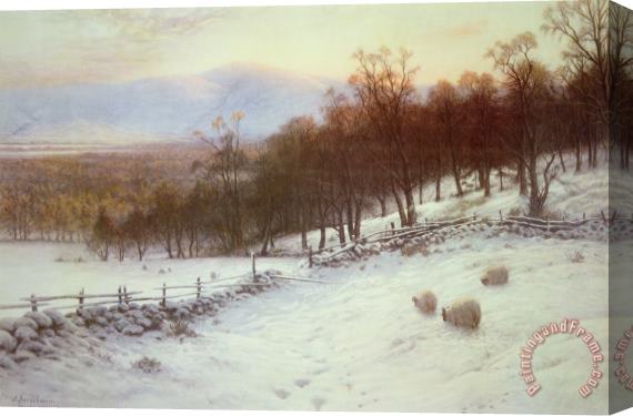 Joseph Farquharson Snow Covered Fields with Sheep Stretched Canvas Print / Canvas Art