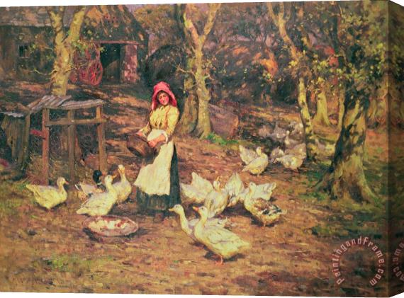 Joseph Harold Swanwick Feeding the Ducks Stretched Canvas Print / Canvas Art