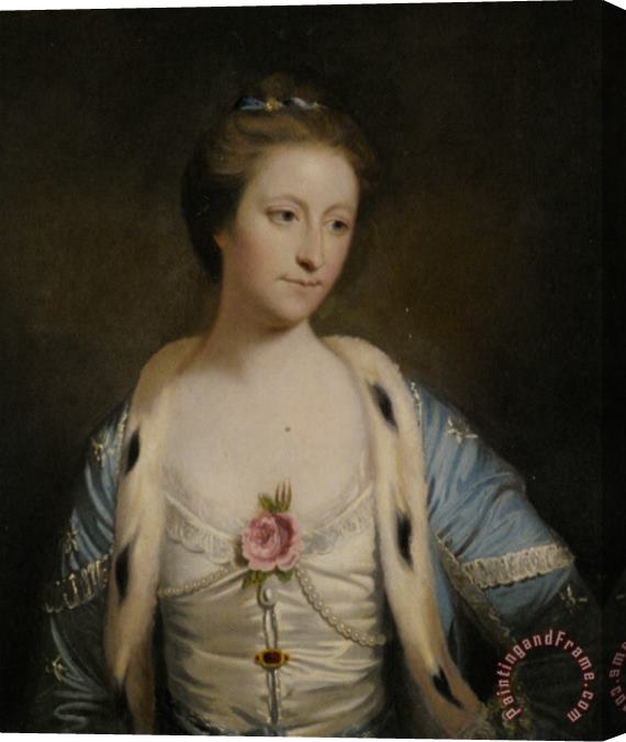 Joshua Reynolds Portrait of Mary Barnardiston Stretched Canvas Print / Canvas Art