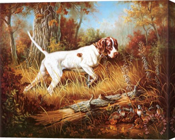 Judy Gibson Pointer with Quail Stretched Canvas Painting / Canvas Art