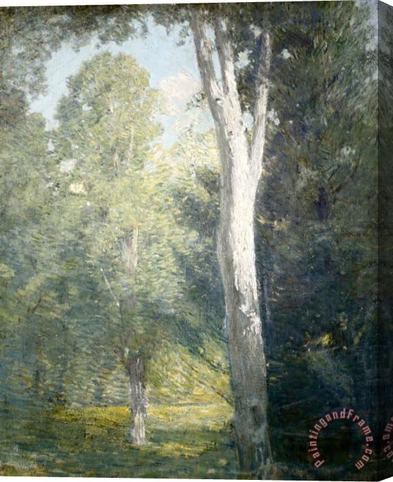 Julian Alden Weir Painting of Birch Trees in Forest Stretched Canvas Painting / Canvas Art