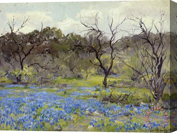 Julian Onderdonk Early Spring鈥攂luebonnets And Mesquite Stretched Canvas Print / Canvas Art