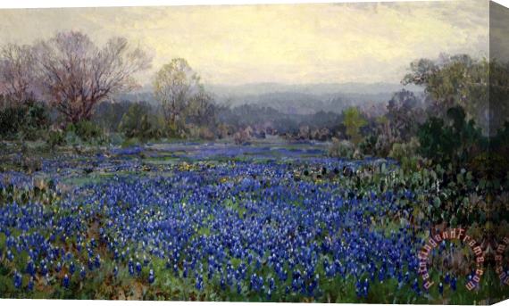Julian Onderdonk Untitled (field of Bluebonnets), N.d. Stretched Canvas Painting / Canvas Art