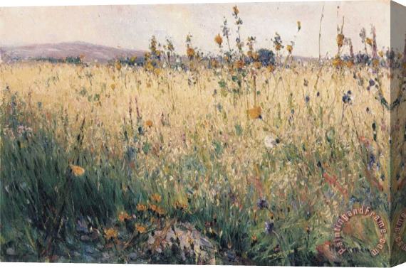 Karl Nordstrom Oat Field, Lyrn Stretched Canvas Painting / Canvas Art