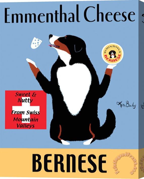Ken Bailey Emmenthal Cheese Bernese Stretched Canvas Print / Canvas Art