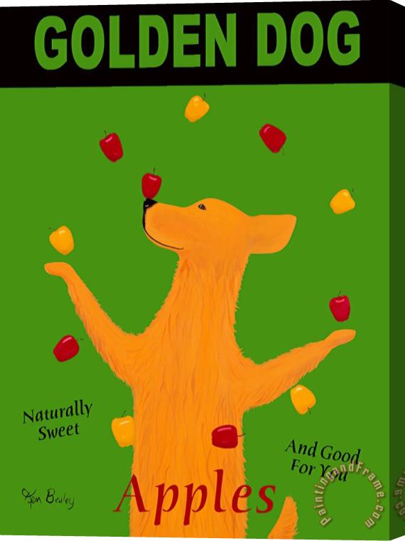 Ken Bailey Golden Dog Apples Stretched Canvas Painting / Canvas Art