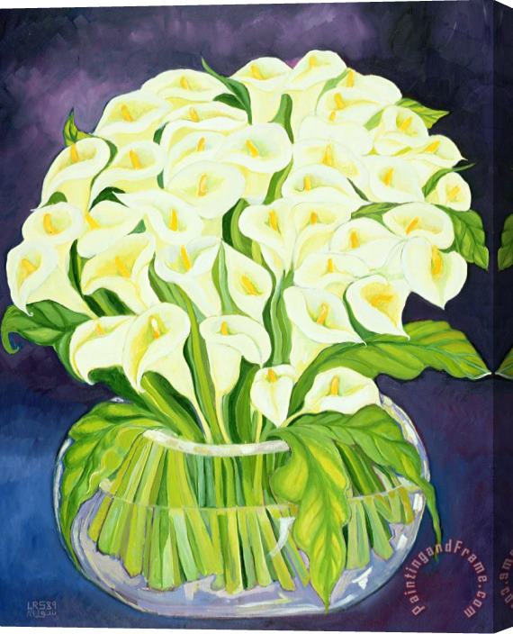 Laila Shawa Calla Lilies Stretched Canvas Print / Canvas Art