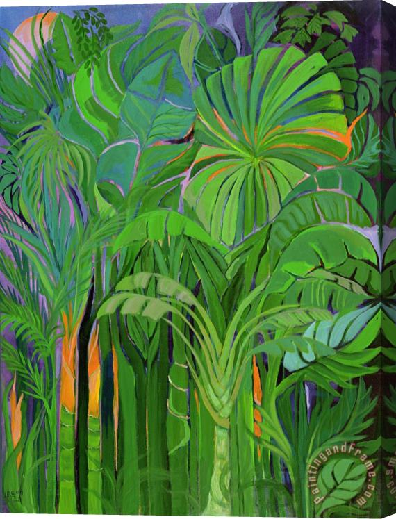 Laila Shawa Rain Forest Malaysia Stretched Canvas Print / Canvas Art