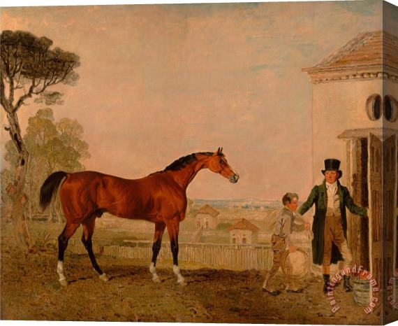 Lambert Marshall 'sultan' at The Marquess of Exeter's Stud, Burghley House Stretched Canvas Print / Canvas Art