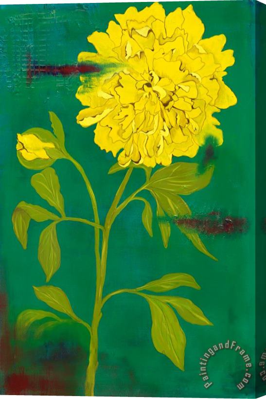 Laura Gunn Blooming Lemon Stretched Canvas Print / Canvas Art