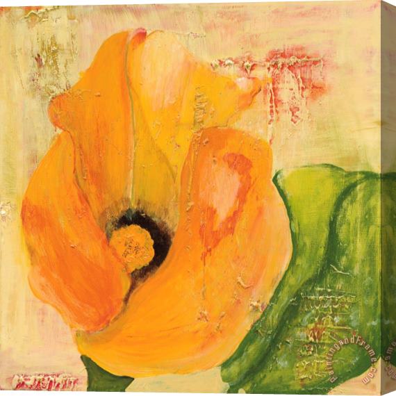 Laura Gunn Calla Lily in Orange Stretched Canvas Print / Canvas Art