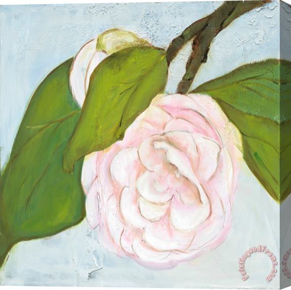Laura Gunn Camilla in Pink Stretched Canvas Print / Canvas Art