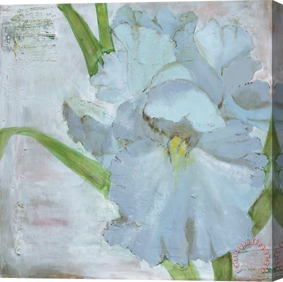Laura Gunn Iris in Periwinkle Stretched Canvas Painting / Canvas Art