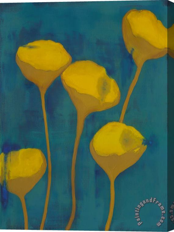 Laura Gunn Shelly Beans I Stretched Canvas Painting / Canvas Art