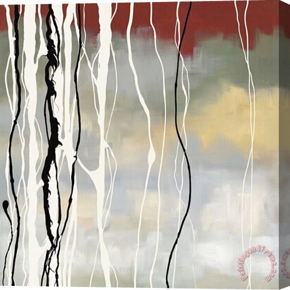laurie maitland Silver Birch II Stretched Canvas Painting / Canvas Art