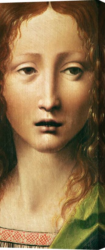 Leonardo da Vinci Head Of The Savior Stretched Canvas Print / Canvas Art
