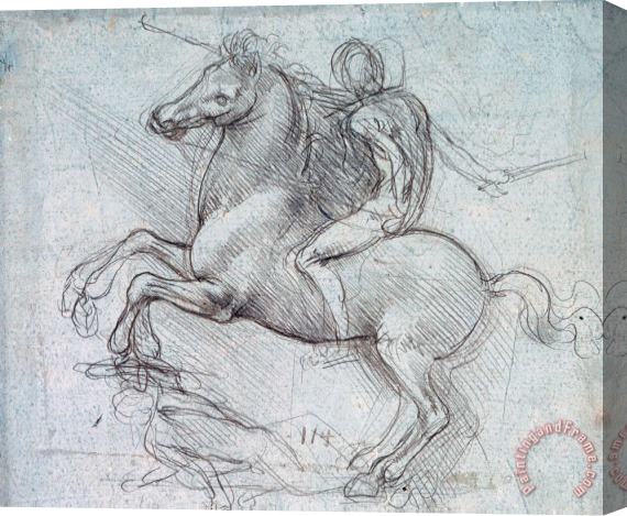 Leonardo da Vinci Leonardo Study For Equestrian Monument Stretched Canvas Print / Canvas Art